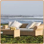 Living Room Funiture.